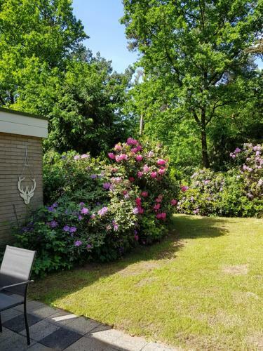 Apartamento Bungalow Hartje Veluwe