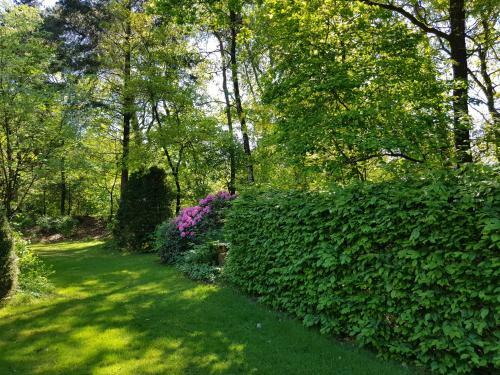 Apartamento Knusse Natuur Bungalow Hartje Veluwe
