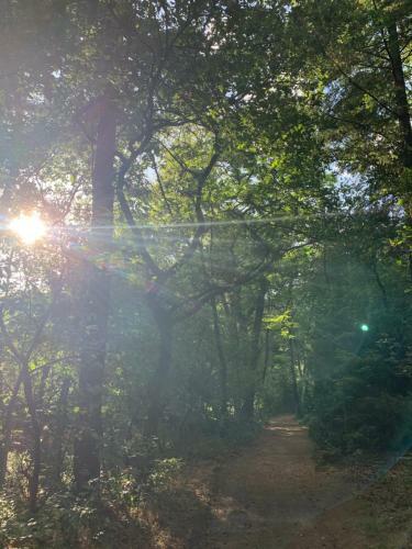 Bonte Specht: Tot Rust Komen In De Natuur!
