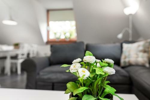 Vakantieappartementen Centrum Oudewater