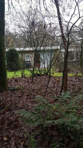 Huisje Koolmees Park Hoefbos Otterlo