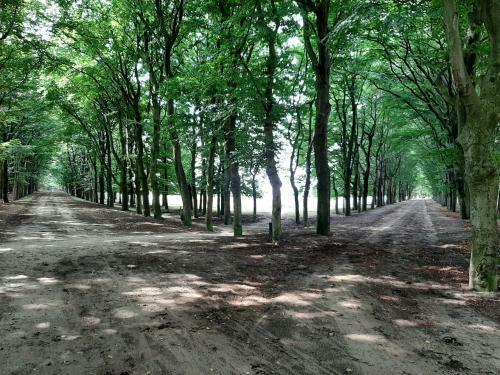't Grieze Huysje