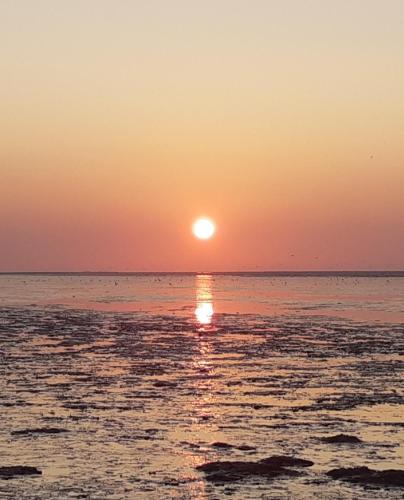 Waddenfestijn