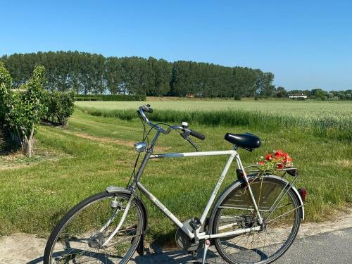 Panoramic Philippine Zeeland