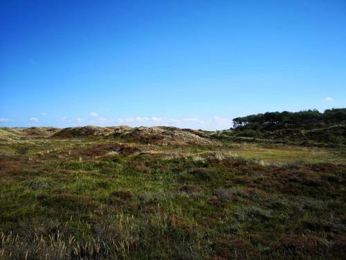 Strandcamping Corfwater - Safaritenten En Safarilodges