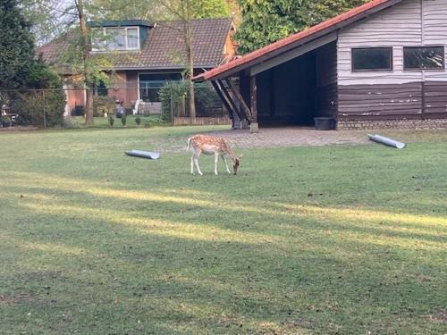 Apartamento Kom Tot Rust In The Forest