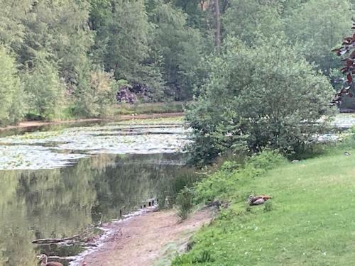 Apartamento Kom Tot Rust In The Forest