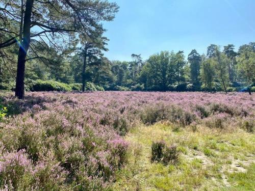 Apartamento Kom Tot Rust In The Forest