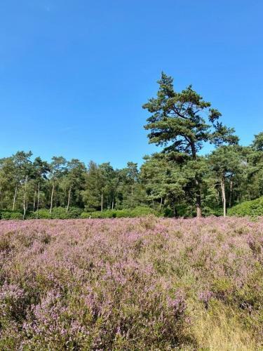 Apartamento Kom Tot Rust In The Forest