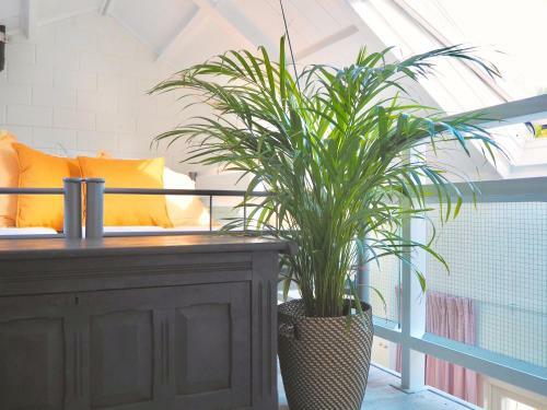 Apartamento Studio Ter Duyn