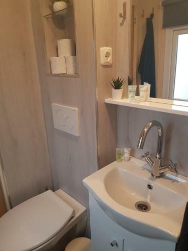 Mobil Home 7 Pers. Bos - Ijsselmeer - Gaasterland