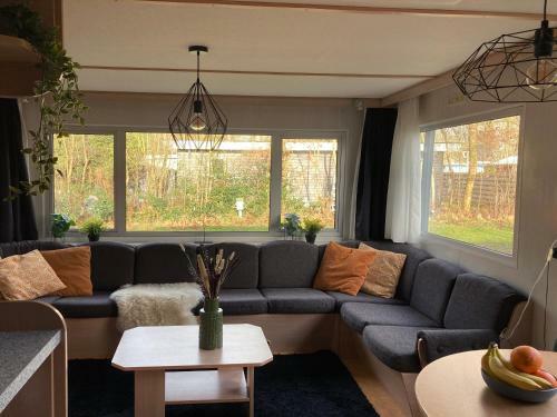 Chalet 't Rijsterbos Op Camping Met Zwembad!