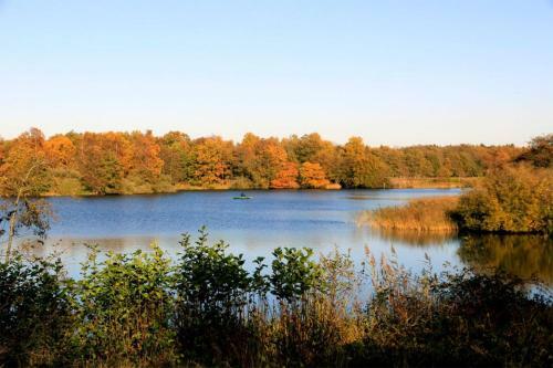 Chalet 't Rijsterbos Op Camping Met Zwembad!