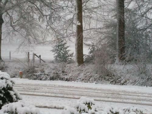 Anna's B&B Rijssen