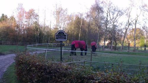 Vakantiehuis "aan de Zandweg"