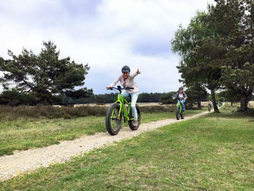 Chalet Op De Veluwe # Beuk
