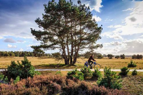 Chalet Op De Veluwe # Beuk