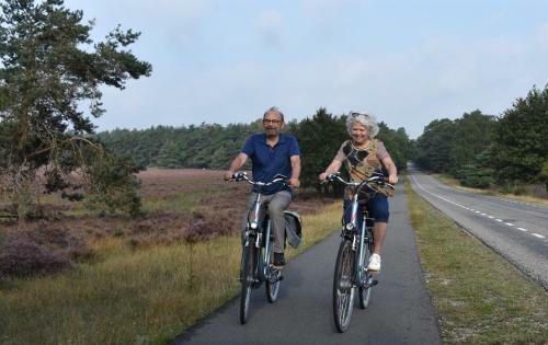 Chalet Op De Veluwe # Beuk