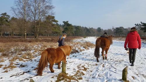 Chalet Op De Veluwe # Beuk