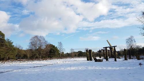 Chalet Op De Veluwe # Beuk