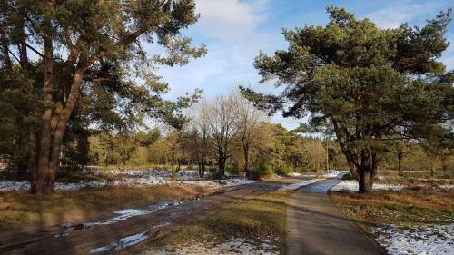 Chalet Op De Veluwe # Beuk