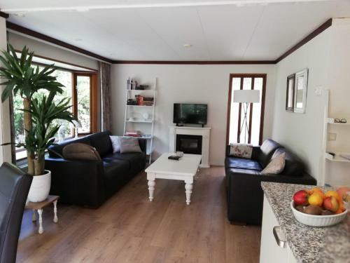 Roodborstje 4 Persoonschalet Putten