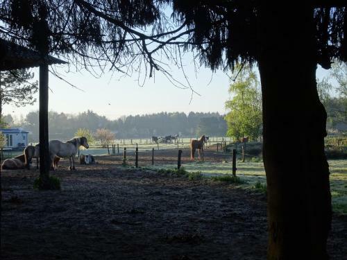 Veluwe Park Reewold Chalet Infinity