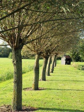 B&B Het Boerenerf Ruinerwold, Drenthe