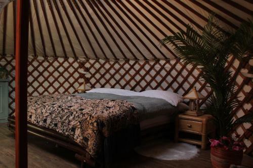 Apartamento Stay In Yurt