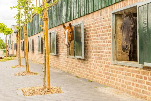 Apartamento Valkenhof Schimmert