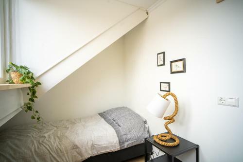 Vakantiehuis New Zeeland