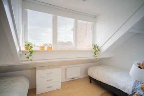 Vakantiehuis New Zeeland