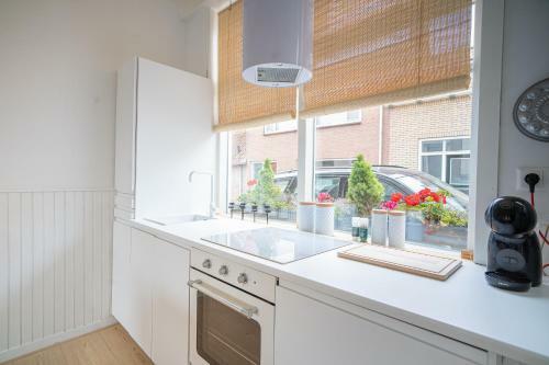 Vakantiehuis New Zeeland
