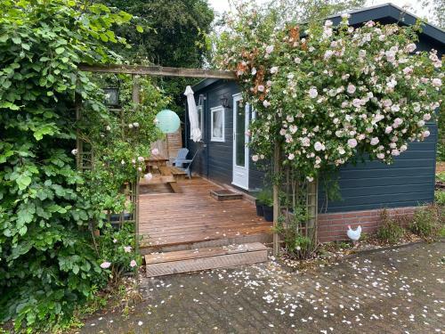 Camping Tante Bob & De Rakkertjes