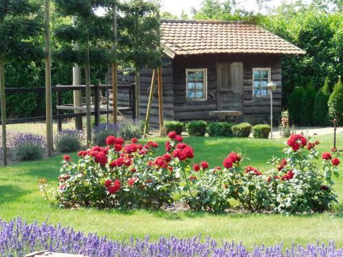 Bed & Breakfast B & B " De 7 Sprong "