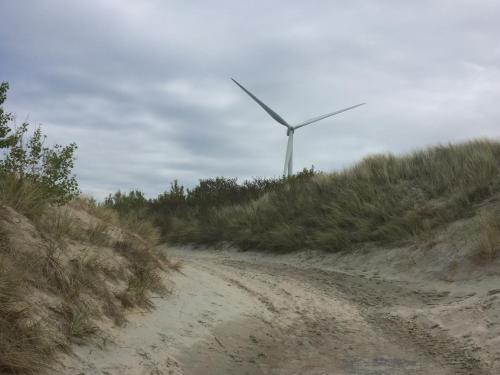 Olmenduin | Chalet 26 | Zeeland