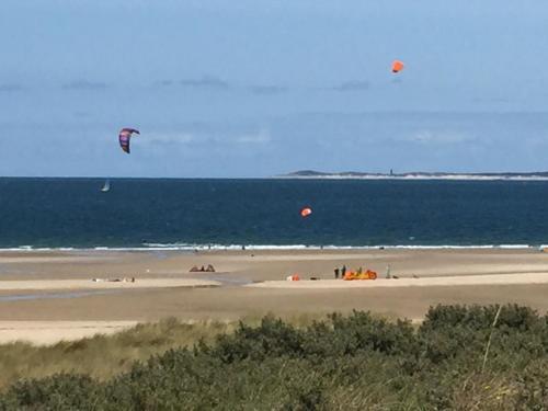 Olmenduin | Chalet 26 | Zeeland