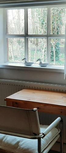 Apartamento B&B 't Nagtegaeltje
