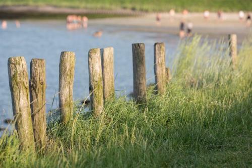 6 Persoons Vakantiehuis Met Sauna, Dichtbij Zee
