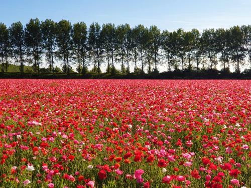 Apartamento L'ancora