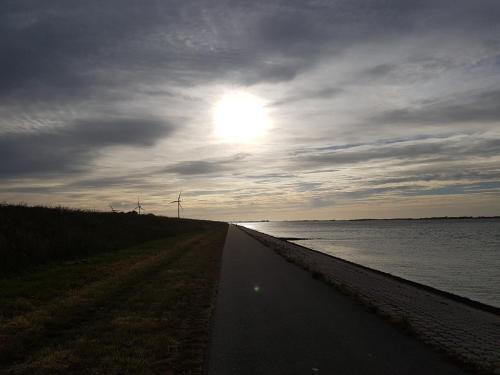 Strandhut 64