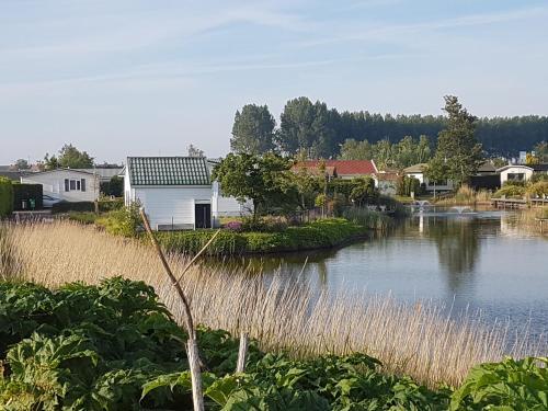 Strandhut 64