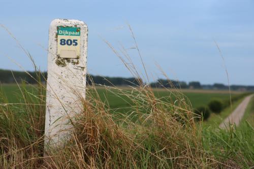 Strandhut 64