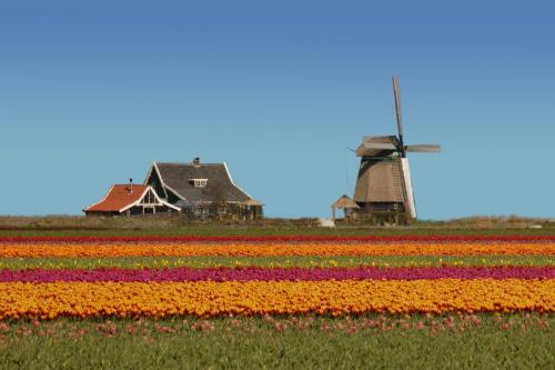 Het Dobbertje, Park Eb & Vloed Nummer 40