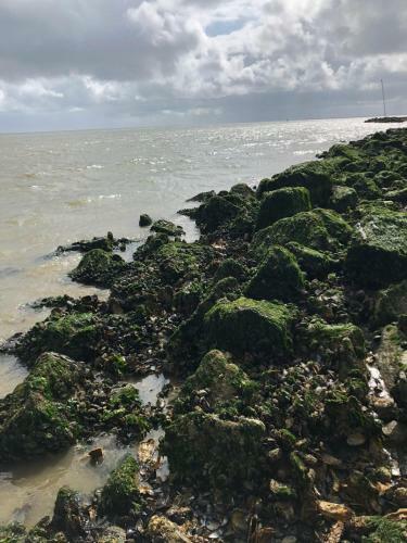 Huisje Vogelenzang Zeeland