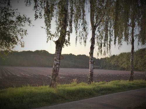B&B Op 't Eikenschoor