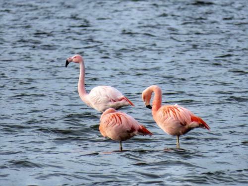 Bed En Breakfast En Bike