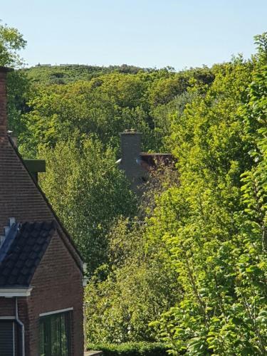 Bed & Breakfast Scheveningen Sea Side