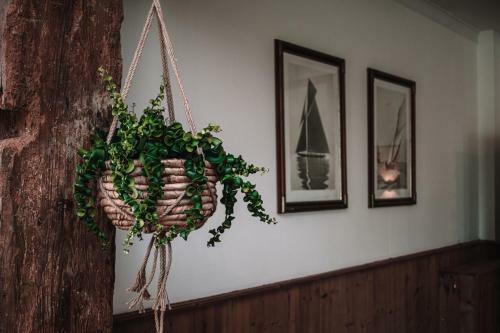 Bed & Breakfast Friese Hoeve Sneek