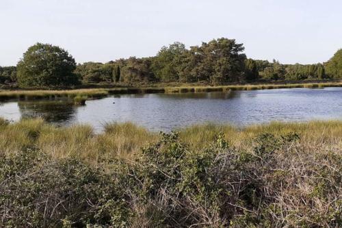 Drentse Bungalow In Natuur En Rust
